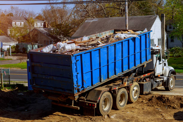 Yard Cleanup Services in Pantego, TX